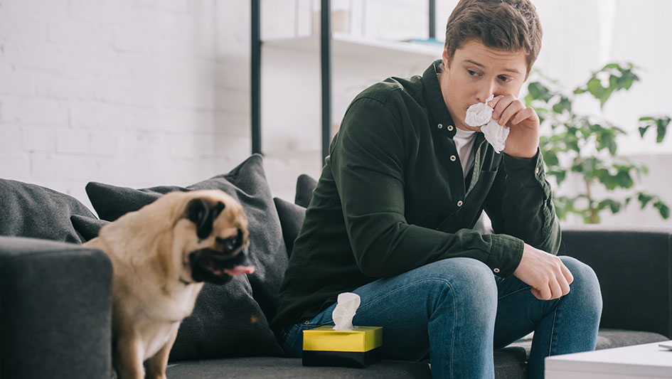Installing an air purifier is one of the smartest methods to improve your house’s indoor air quality. Discover more about the three best products. 